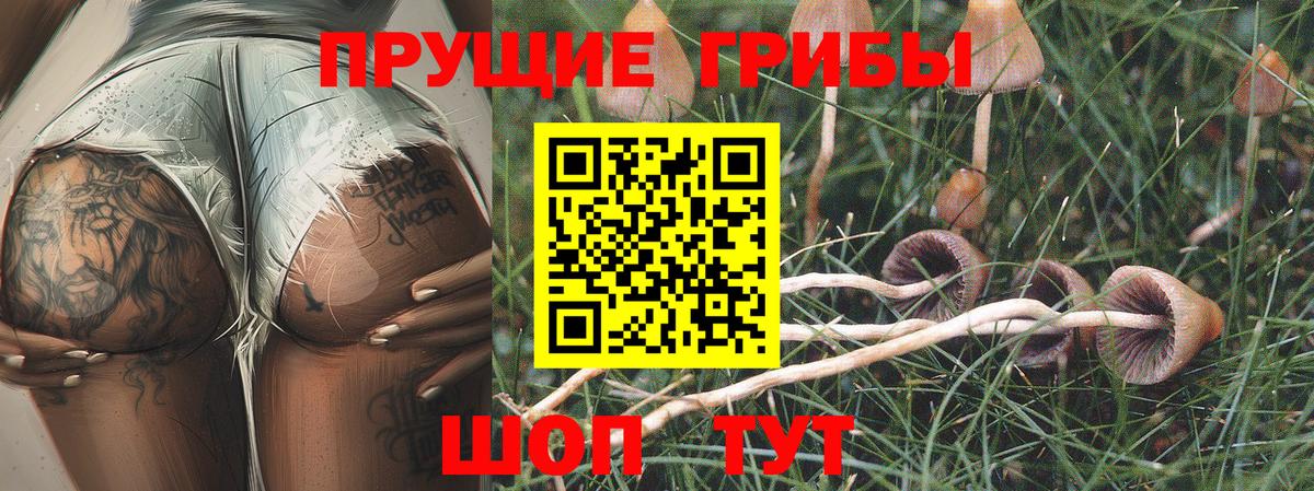 наркошоп  Псилоцибиновые грибы ЛСД  Вход с VPN  Псилоцибиновые грибы GOLDEN TEACHER  Шатура 