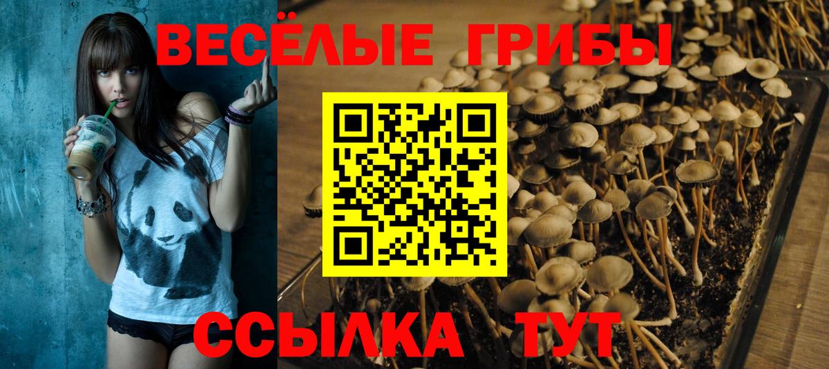 Галлюциногенные грибы Cubensis Шатура