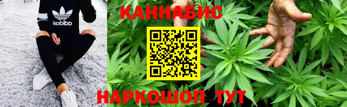 Шатура  Канабис White Widow  Бошки Шишки конопля  Вход с VPN  Бошки Шишки Bruce Banner 